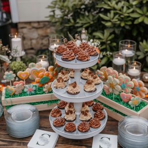 Cake/Cupcake Stands