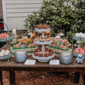 Cake/Cupcake Trays